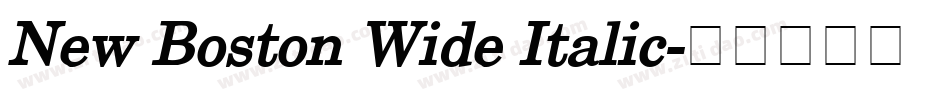 New Boston Wide Italic字体转换